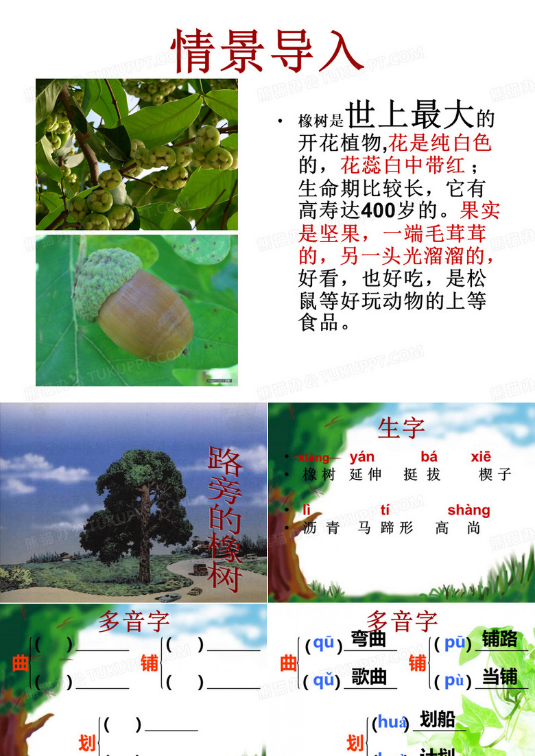 路旁的橡树ppt
