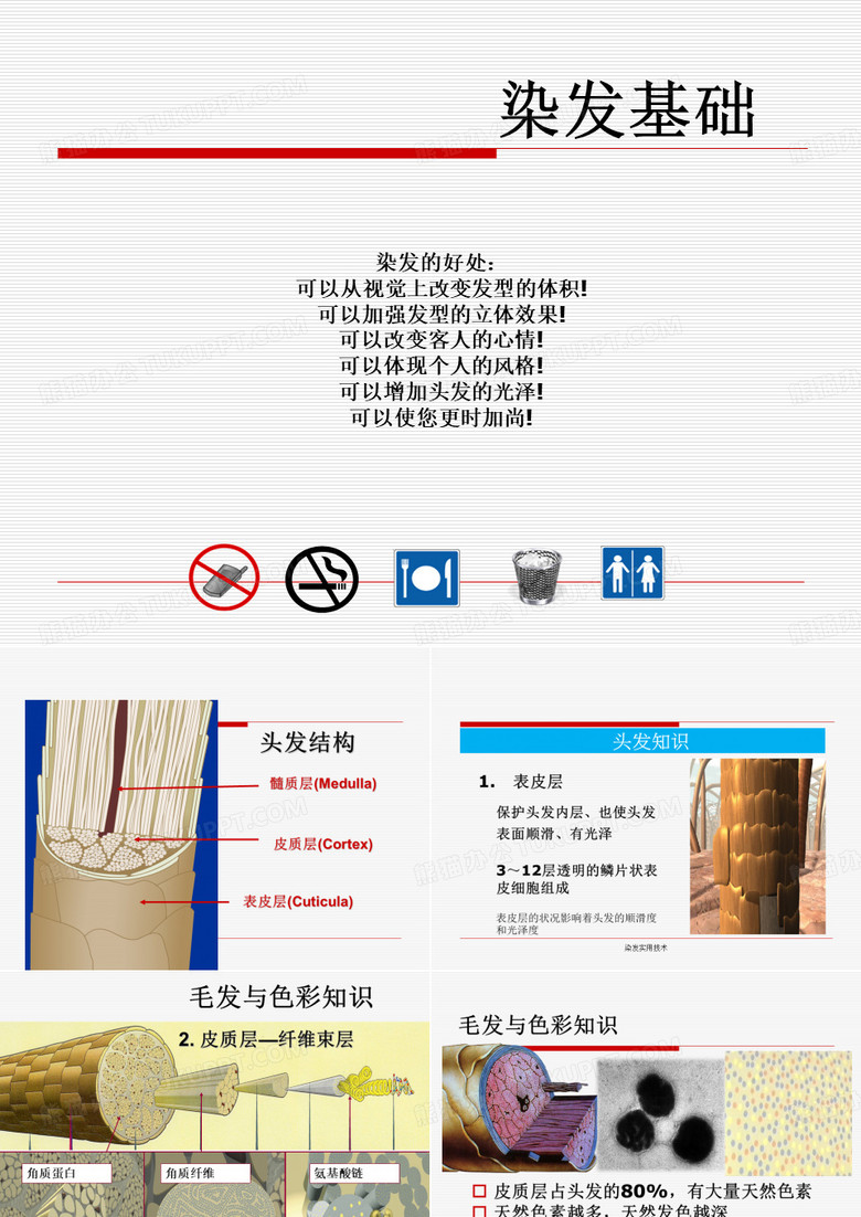 染发课件