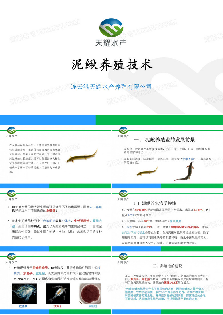 泥鳅养殖技术