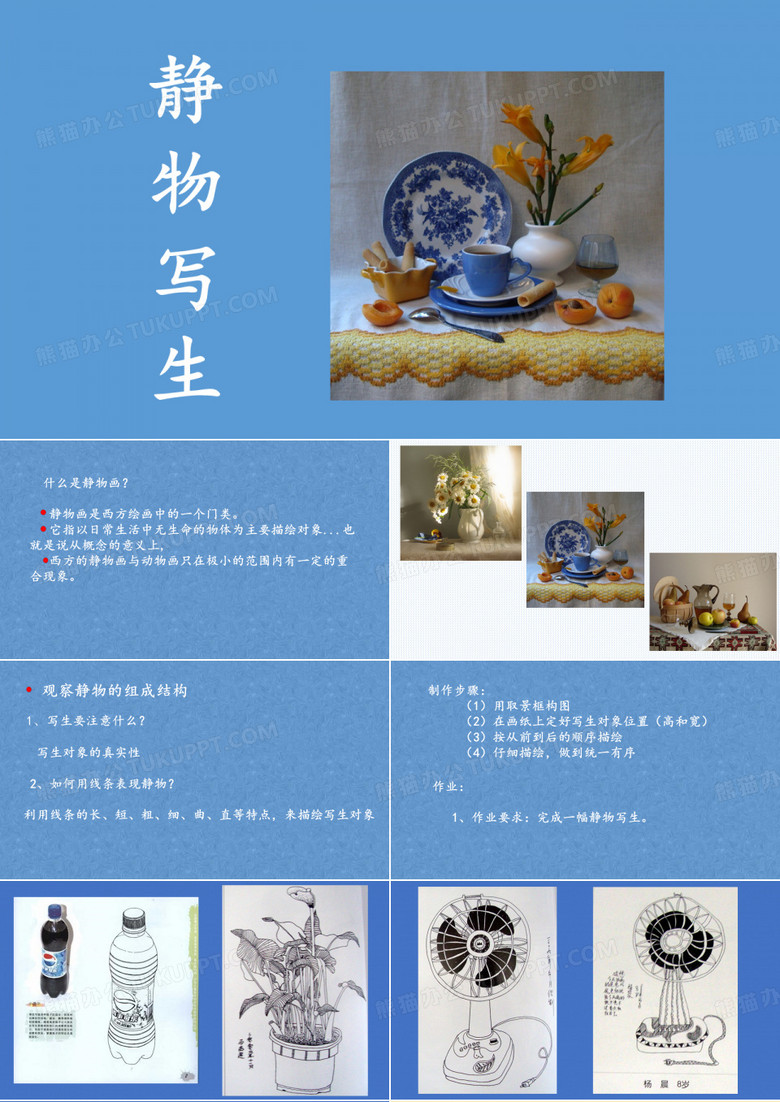 静物写生