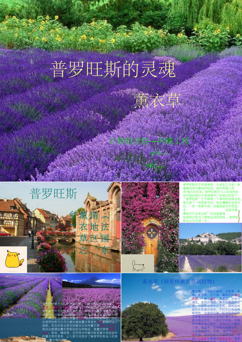 普罗旺斯课件