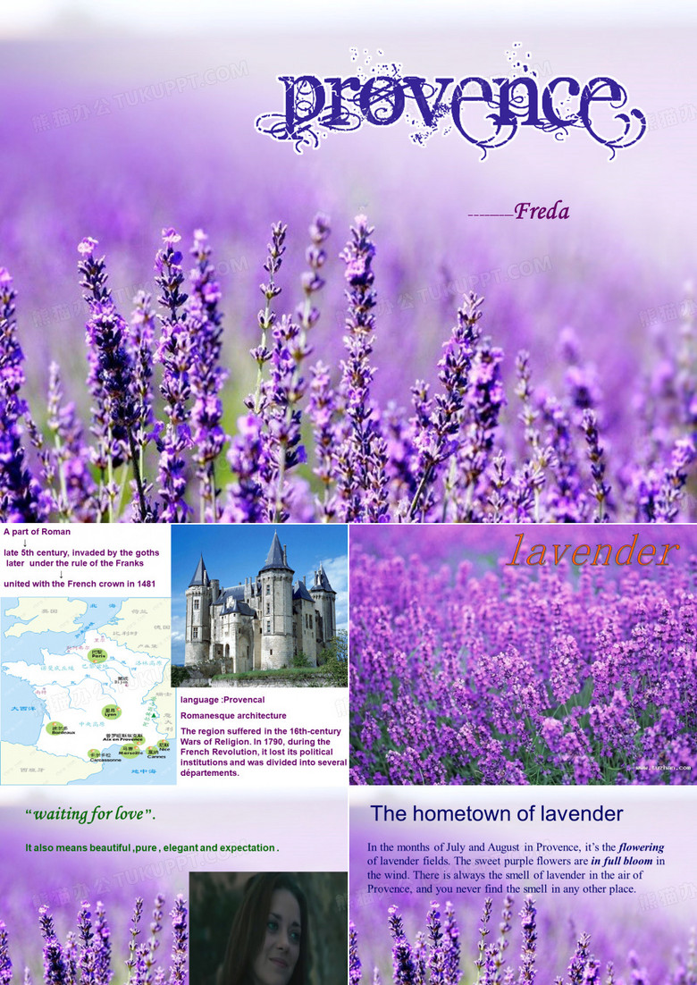 provence 普罗旺斯