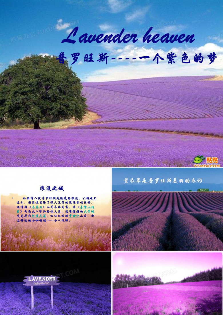 普罗旺斯简介