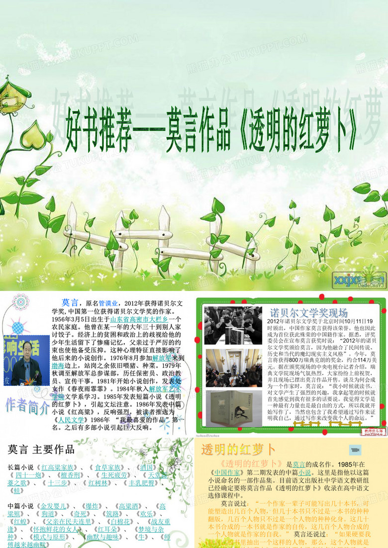 透明的红萝卜简介