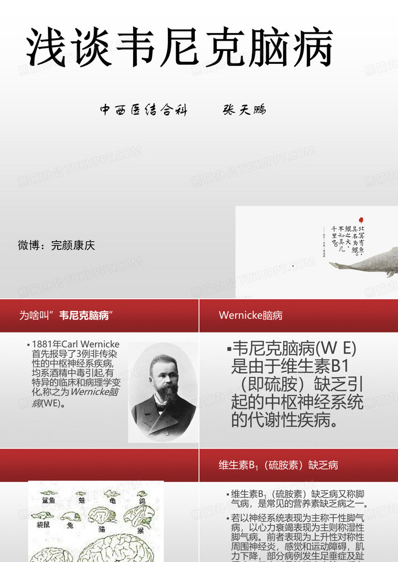 浅谈韦尼克脑病