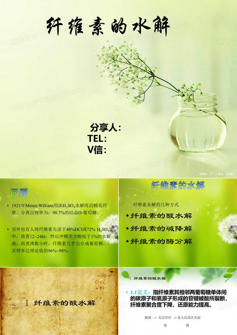 纤维素水解