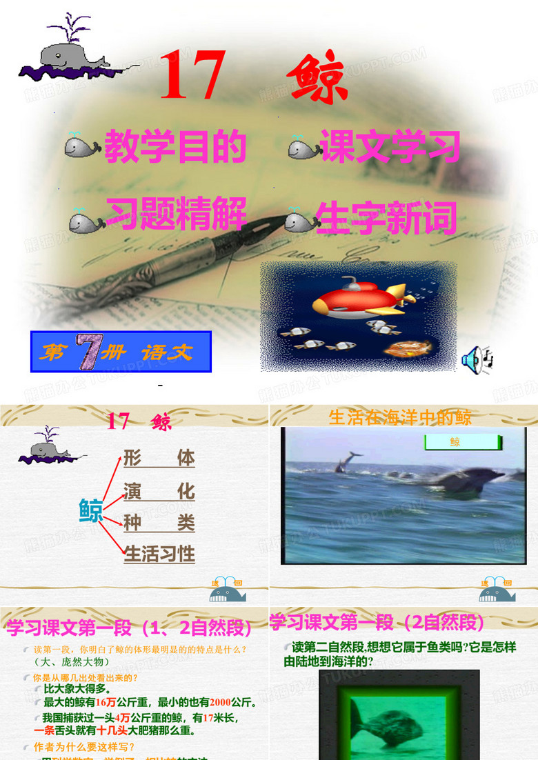 鲸-PPT课件 