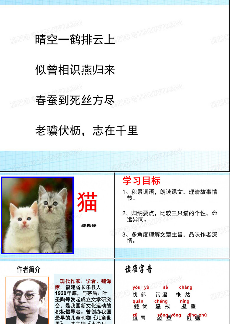 七年级语文上册 猫