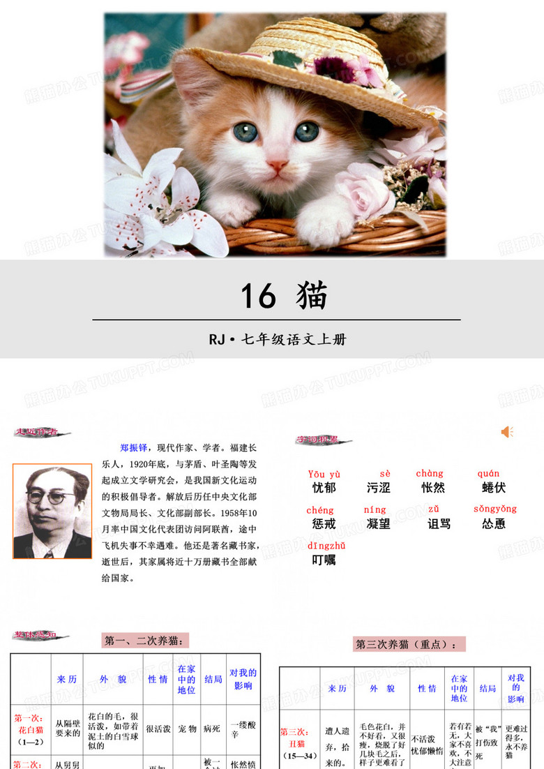 16七年级 猫课件