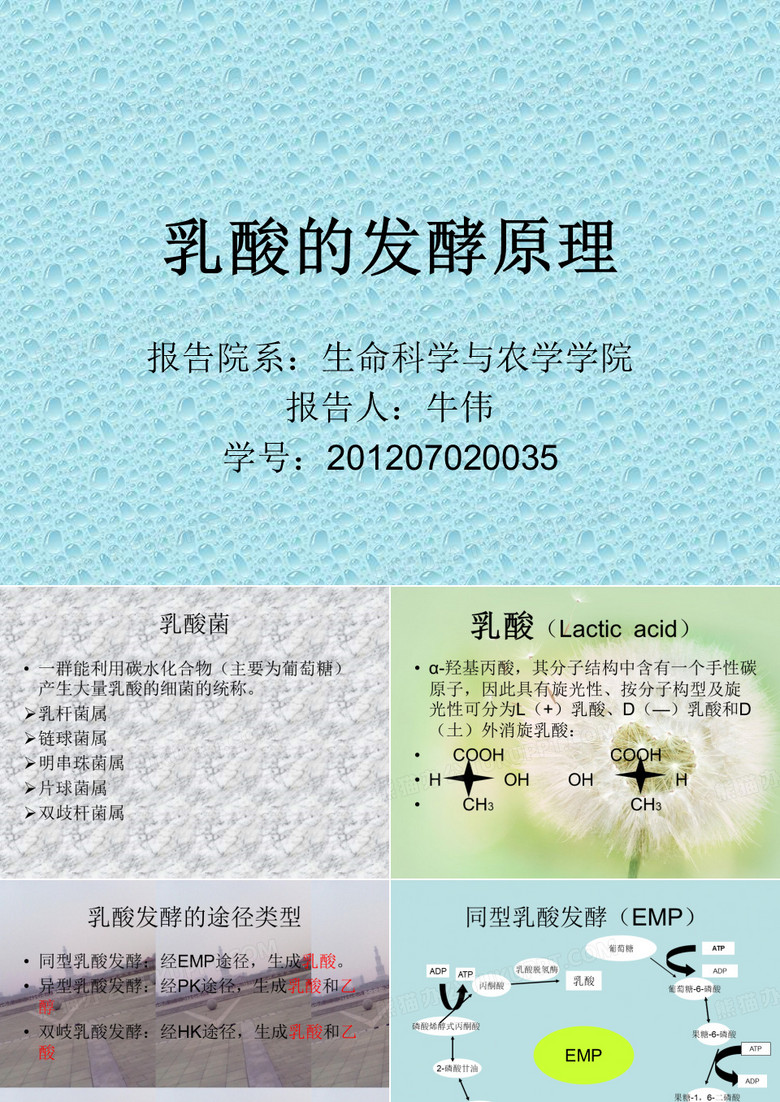 乳酸
