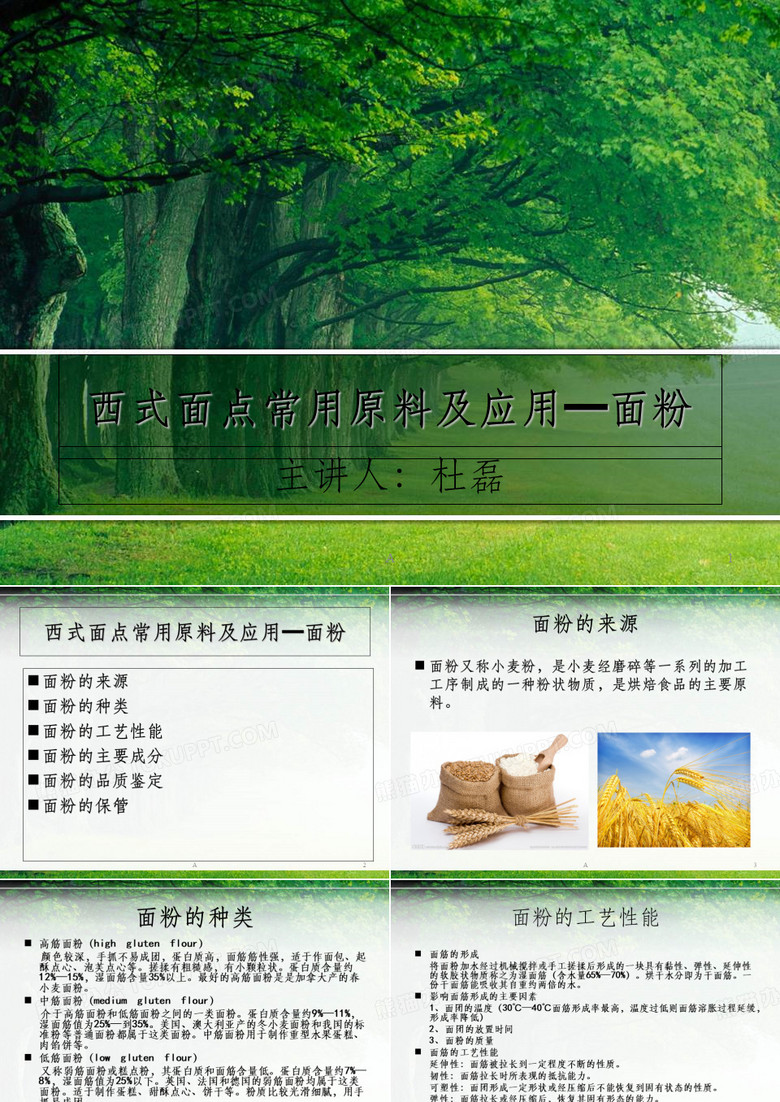 面粉知识