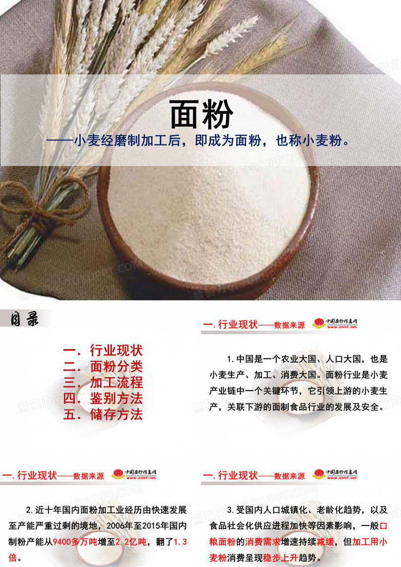 面粉的介绍