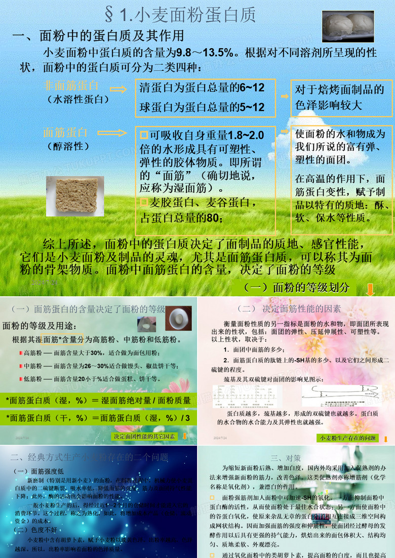 面粉处理剂