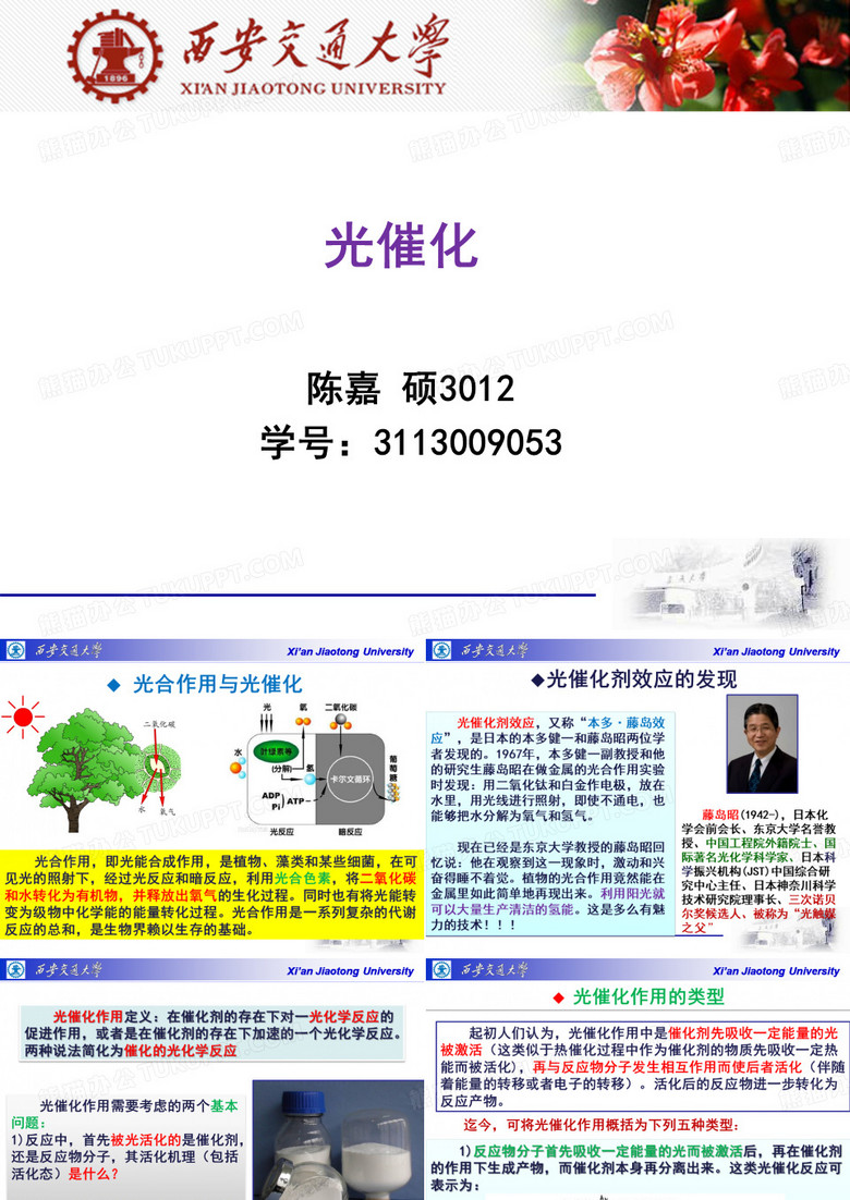 光催化