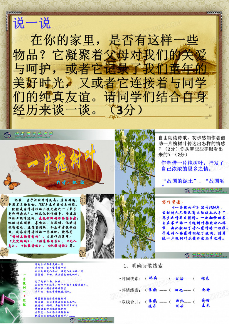 一片槐树叶