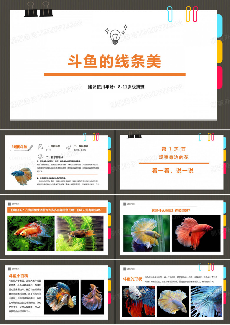 小学美术课件《《线描画斗鱼的线条美》和《遨游太空》