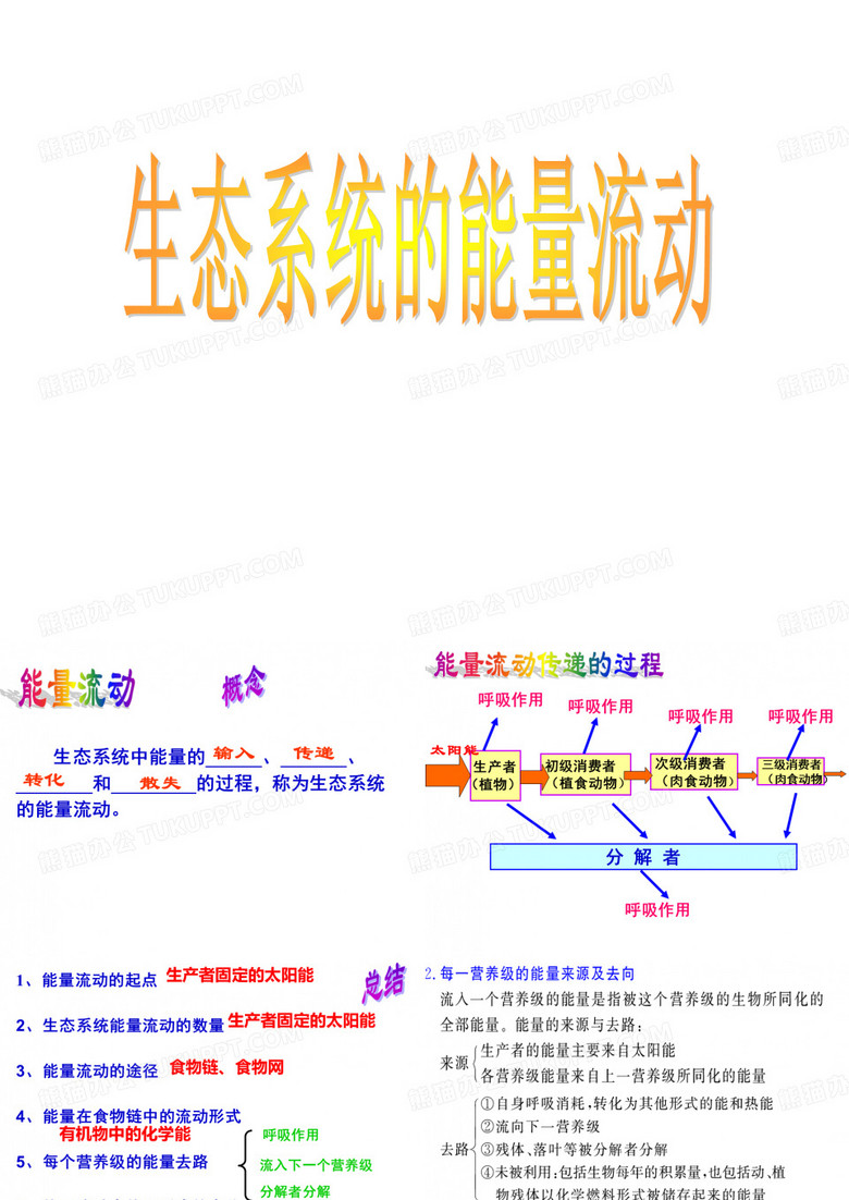 能量流动
