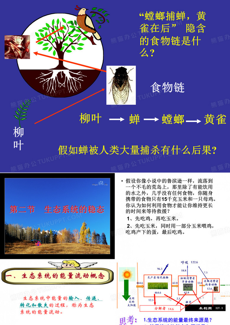 能量流动