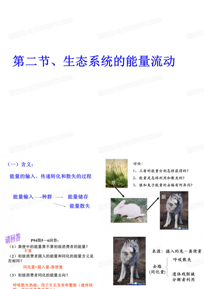 高二生物能量流动