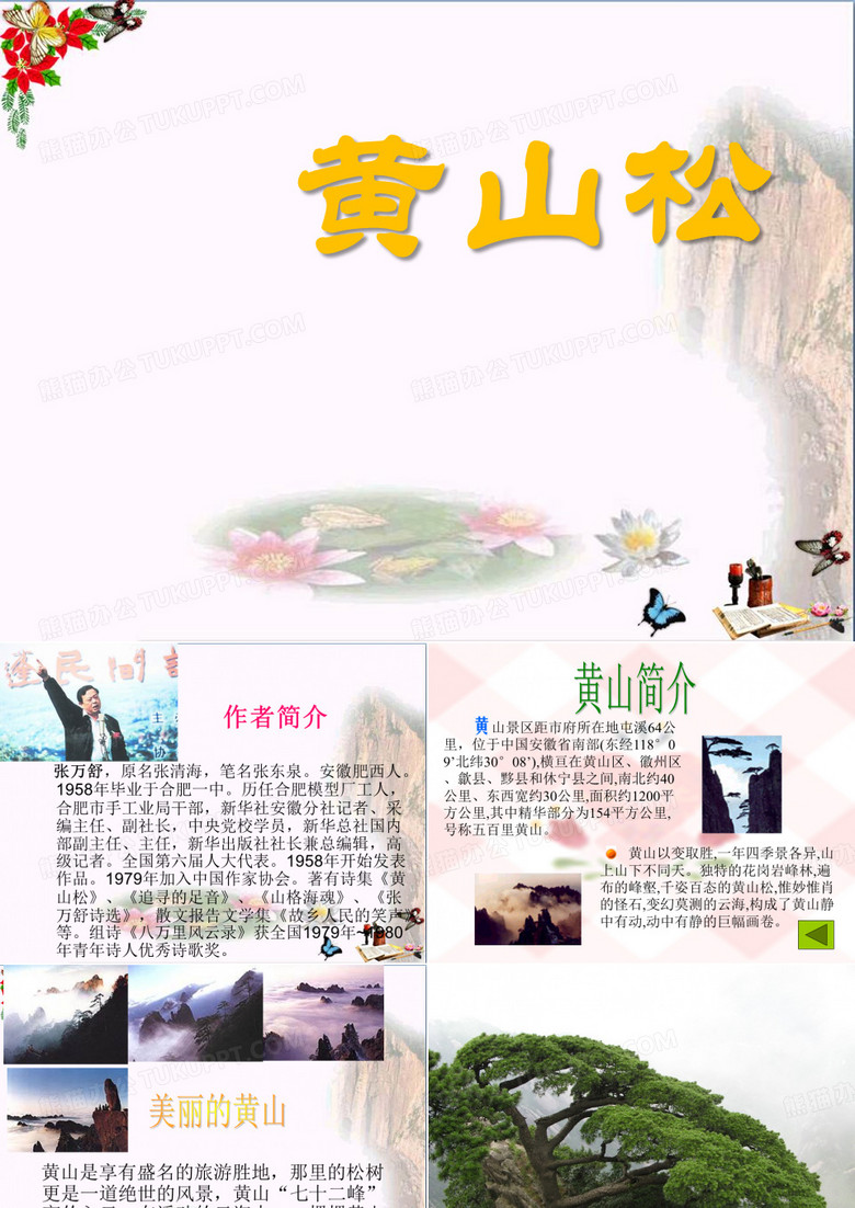 《黄山松》PPT课件3