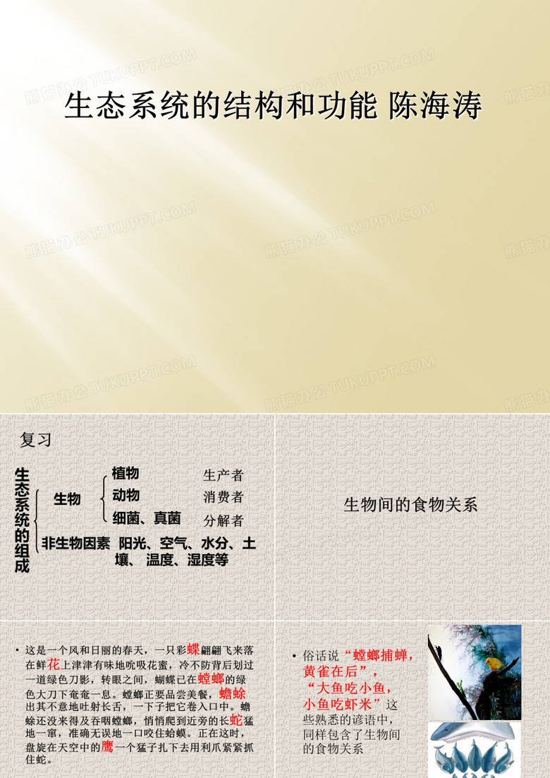 生态系统的结构和功能 陈海涛