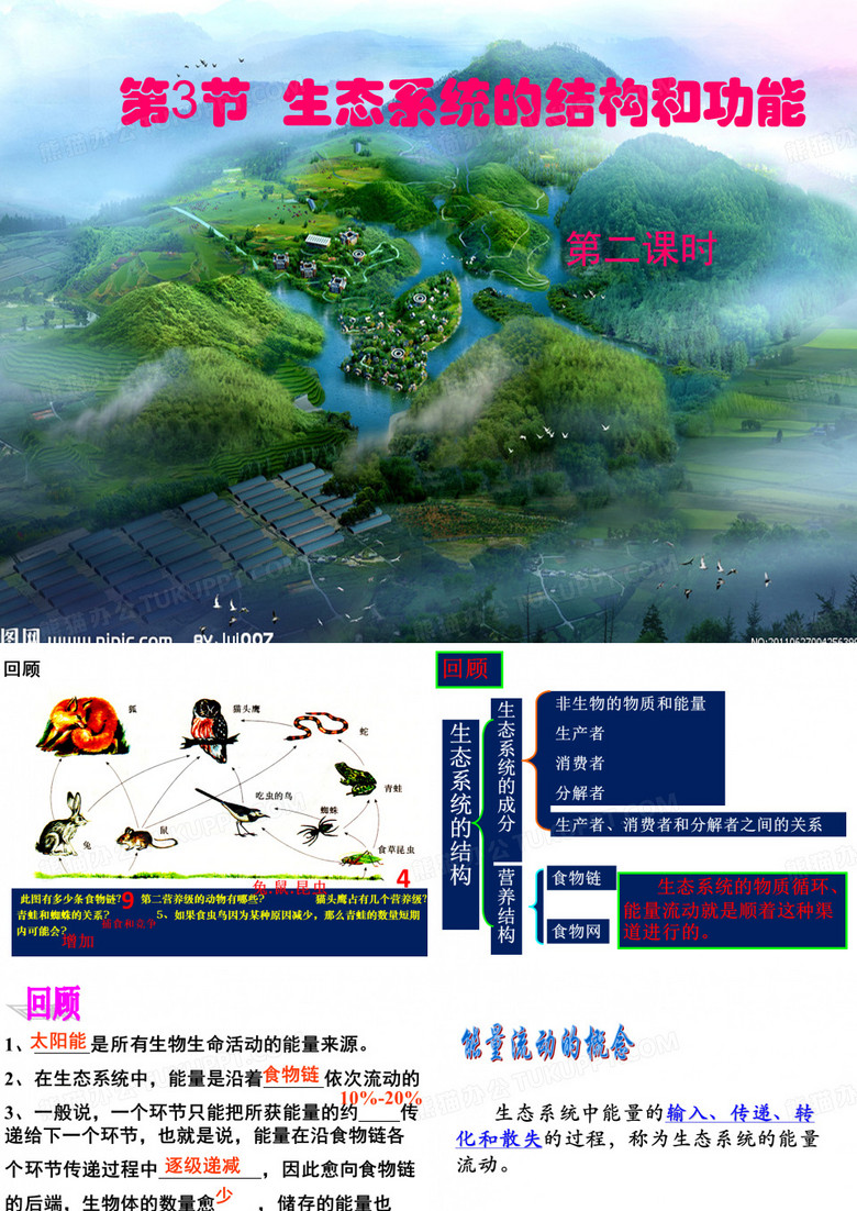 生态系统的结构和功能2