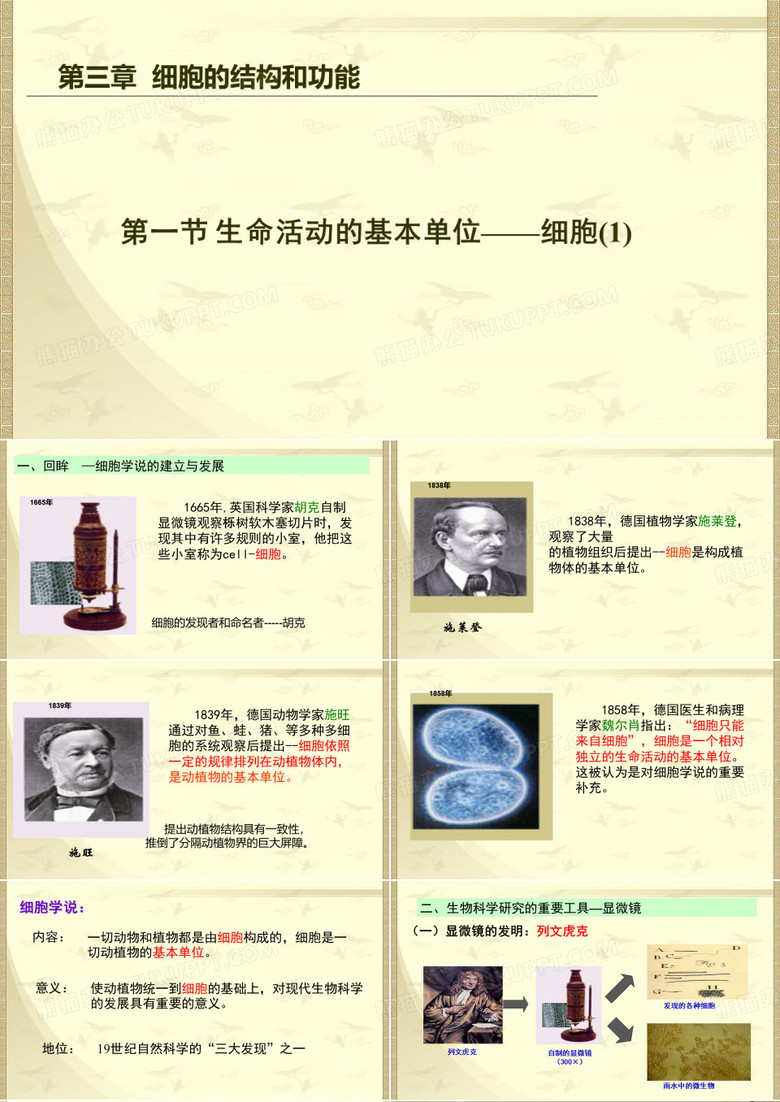 生命活动的基本单位——细胞