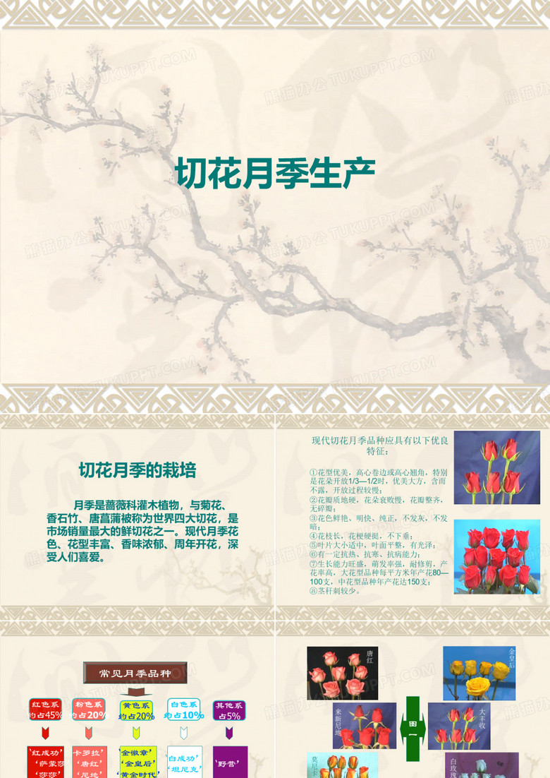 切花月季