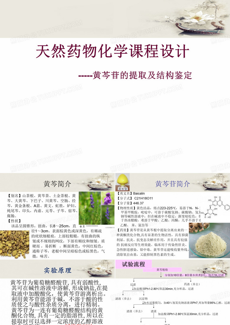黄芩苷提取分离