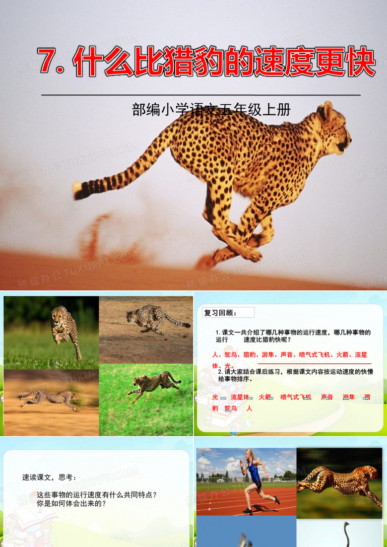 什么比猎豹的速度更快