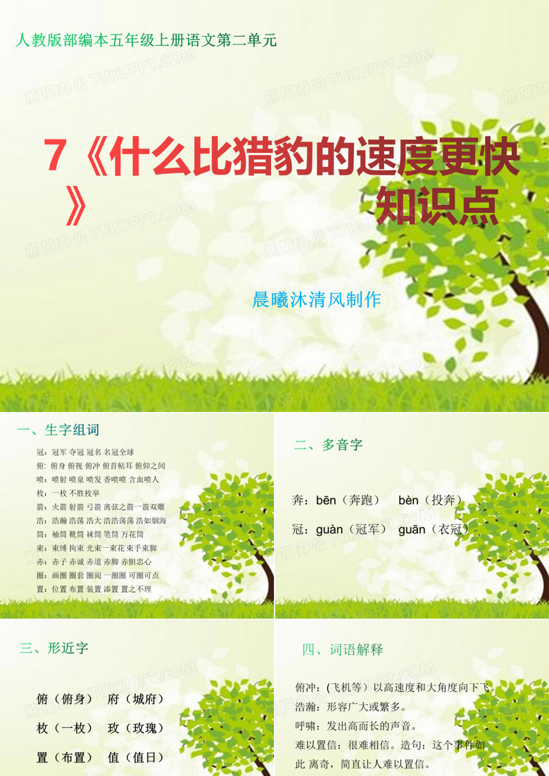 《什么比猎豹的速度更快》知识点
