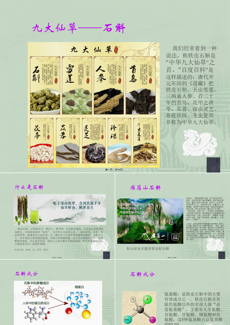 铁皮石斛的介绍