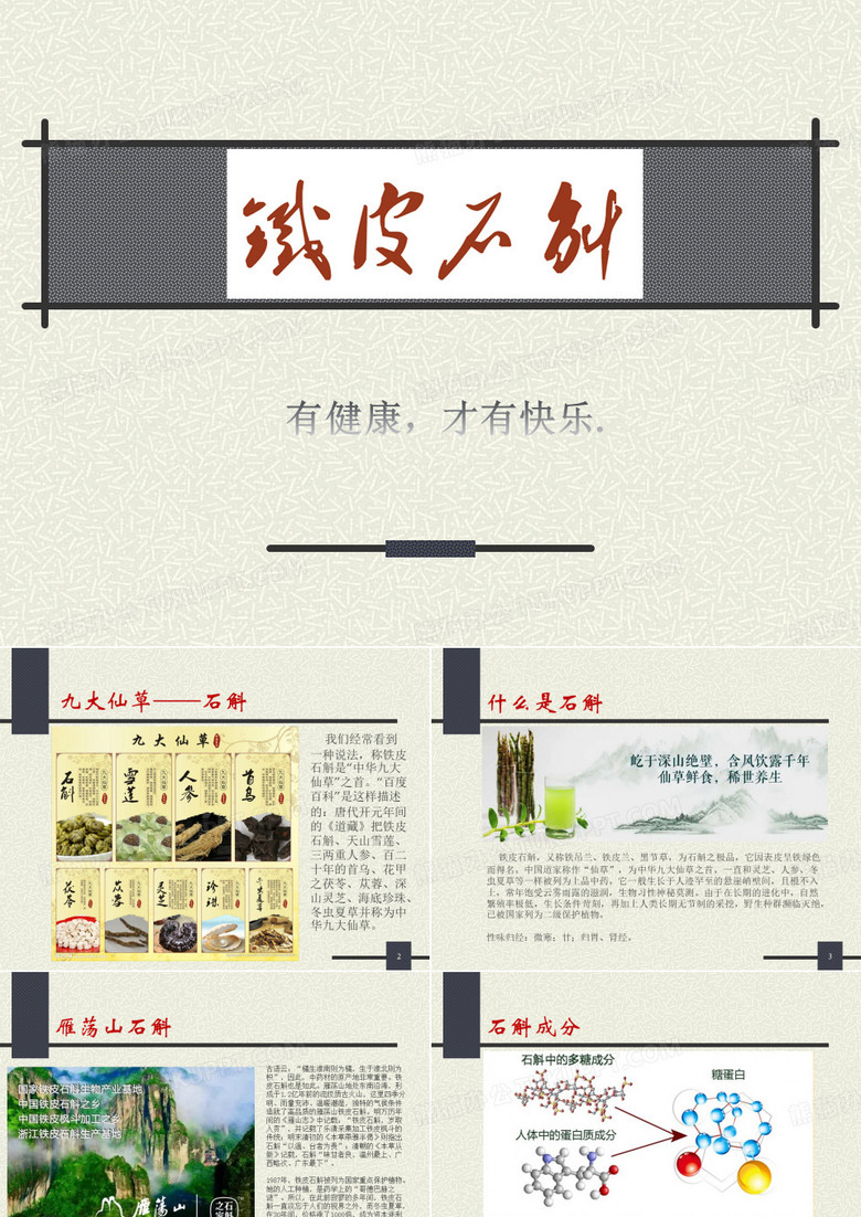铁皮石斛的介绍