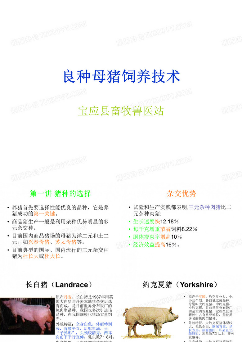 生猪饲养技术