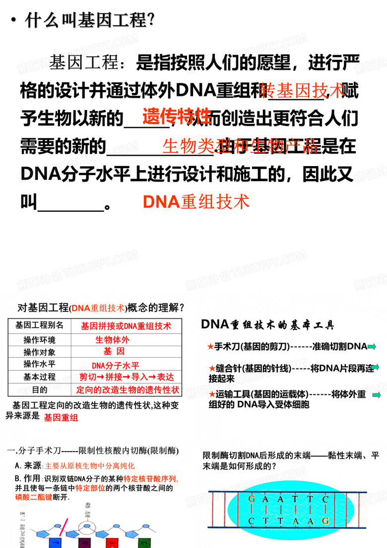 高中生物选修三