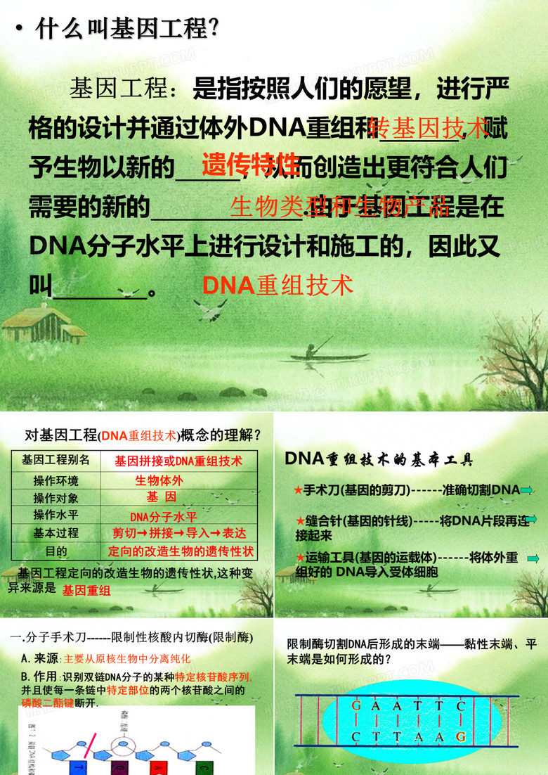 高中生物选修三.ppt