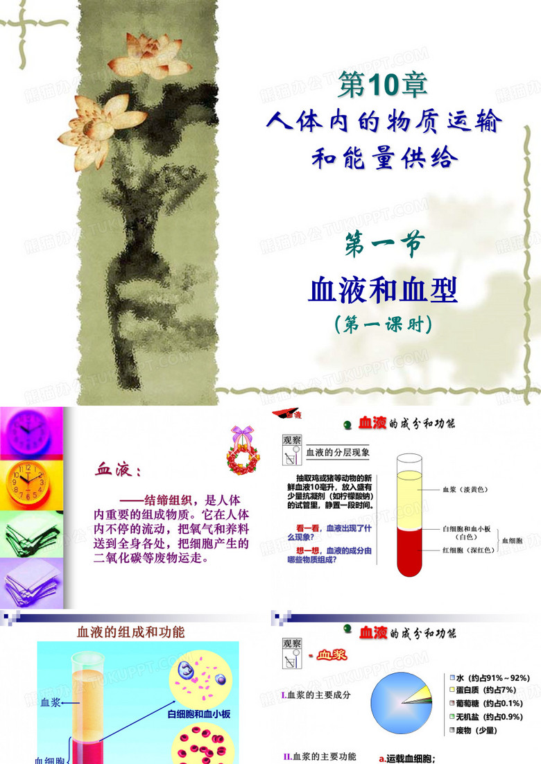 初中生物  血液和血型 苏教版精品课件