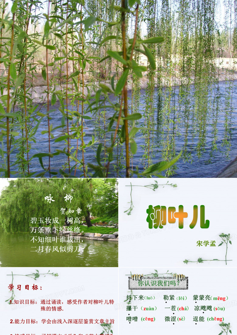 柳叶儿-公开课