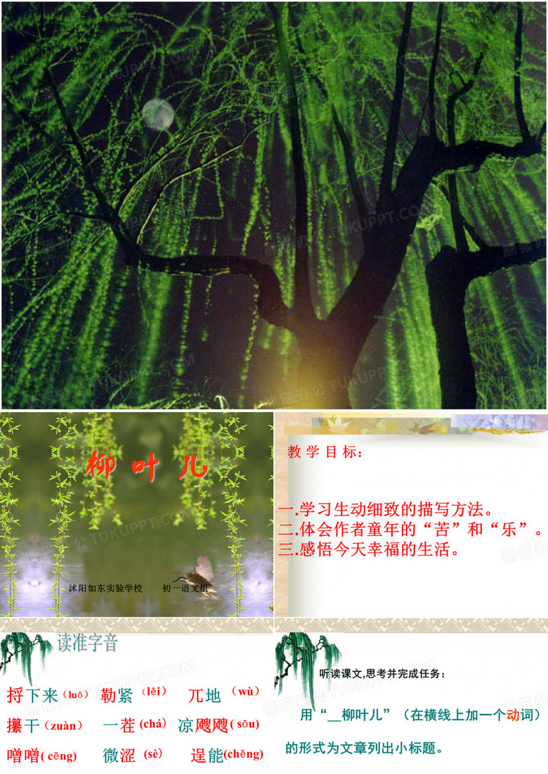 柳叶儿课件