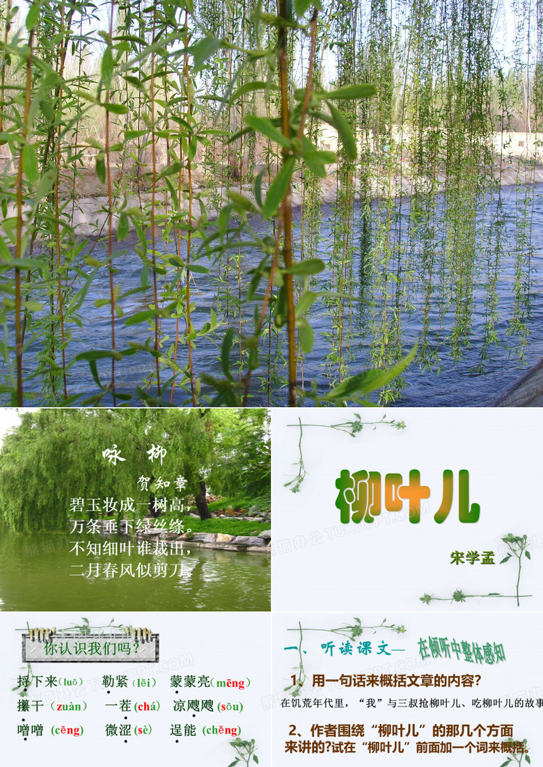 柳叶儿-公开课