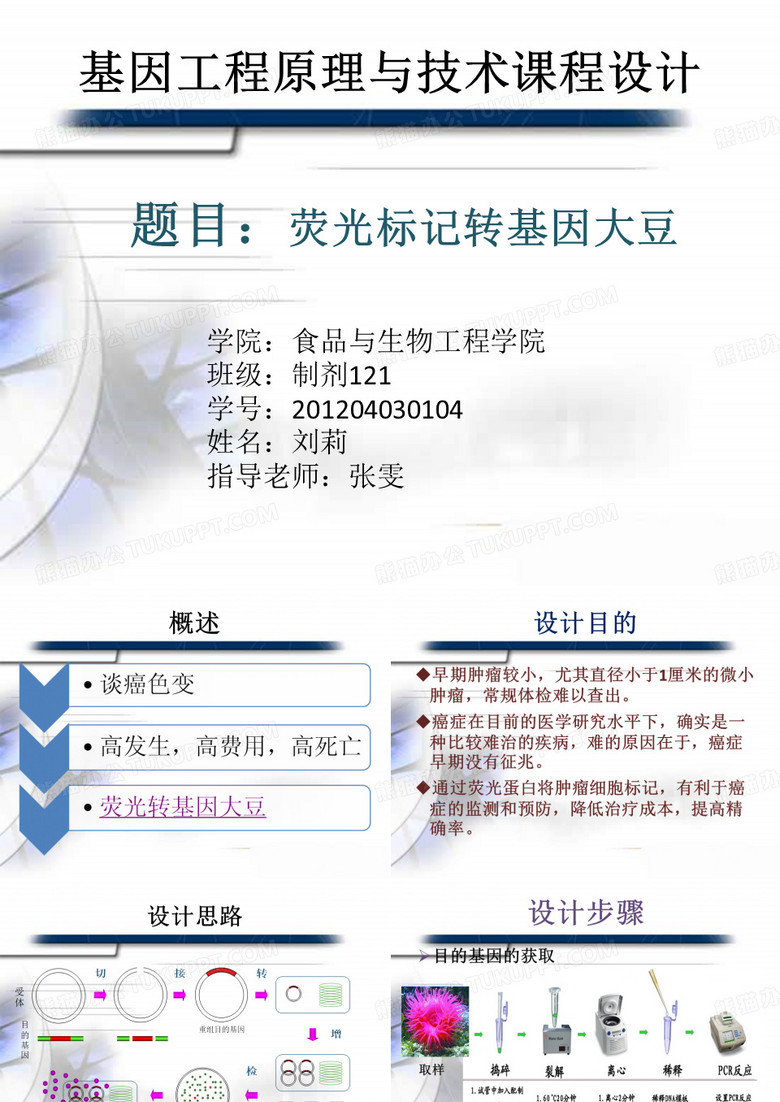 基因工程应用