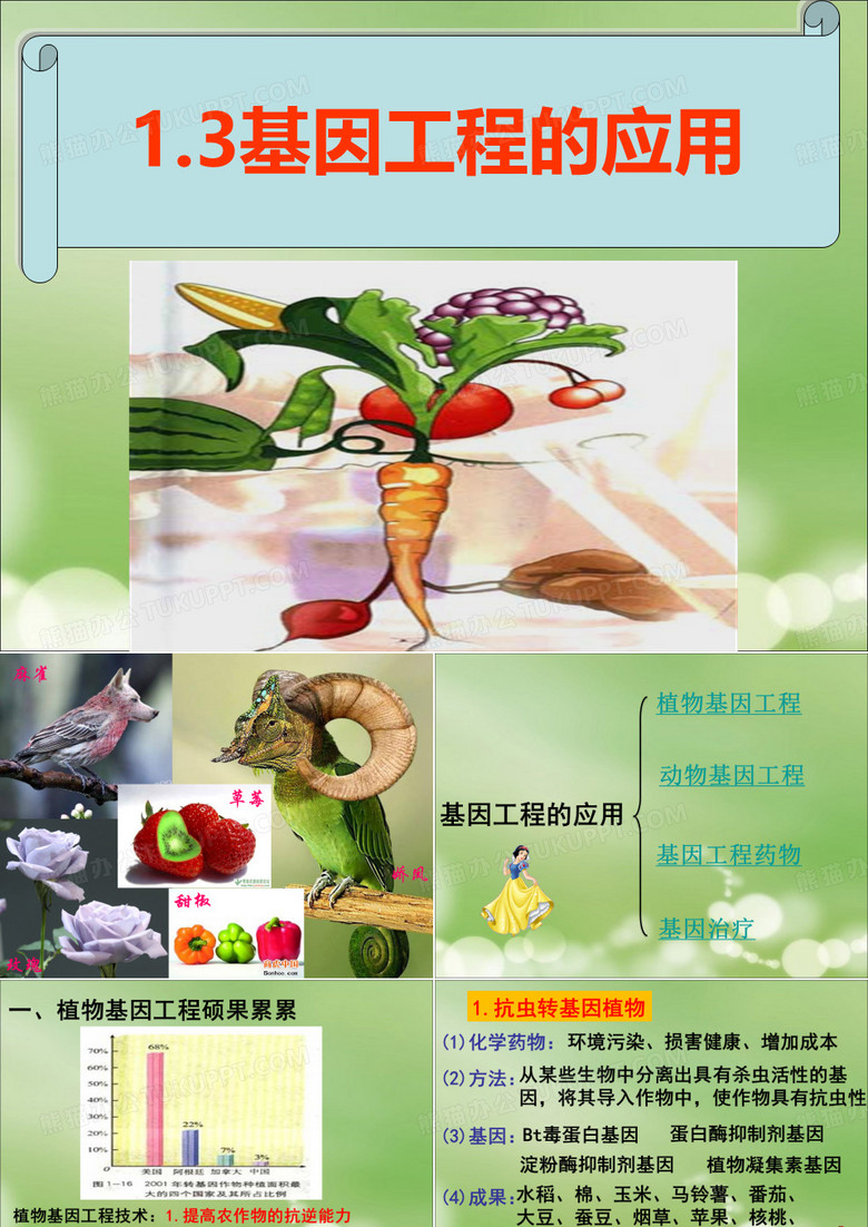 基因工程的应用