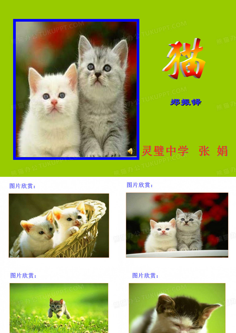 初一语文 猫 课件