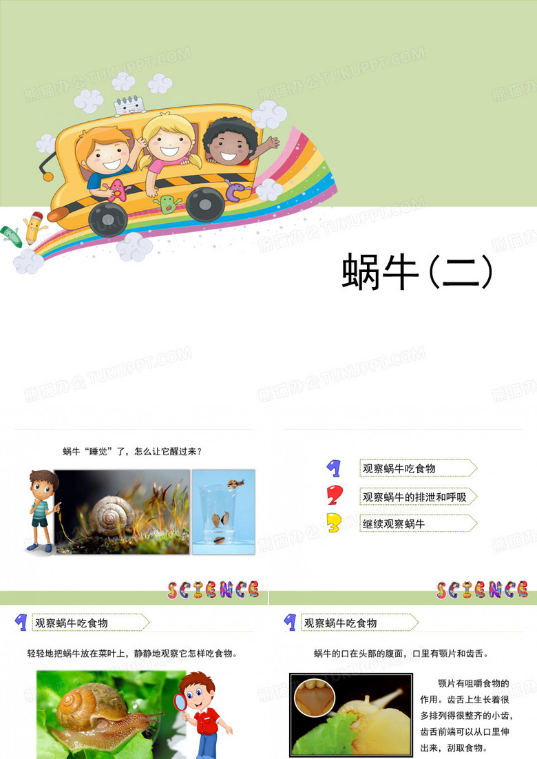 三年级科学上册三年级科学《蜗牛(二)》教科版