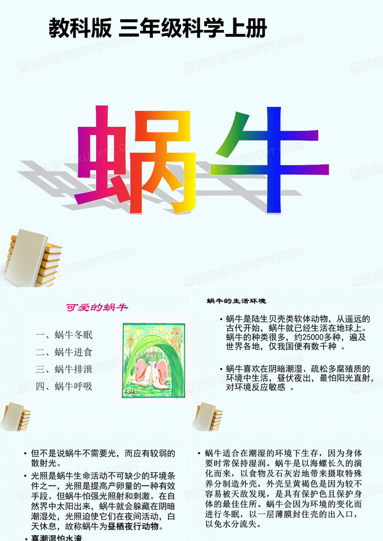 三年级科学上册 蜗牛2课件 教科版