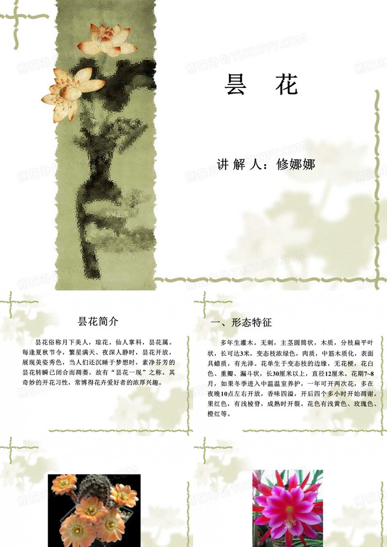 昙花简介