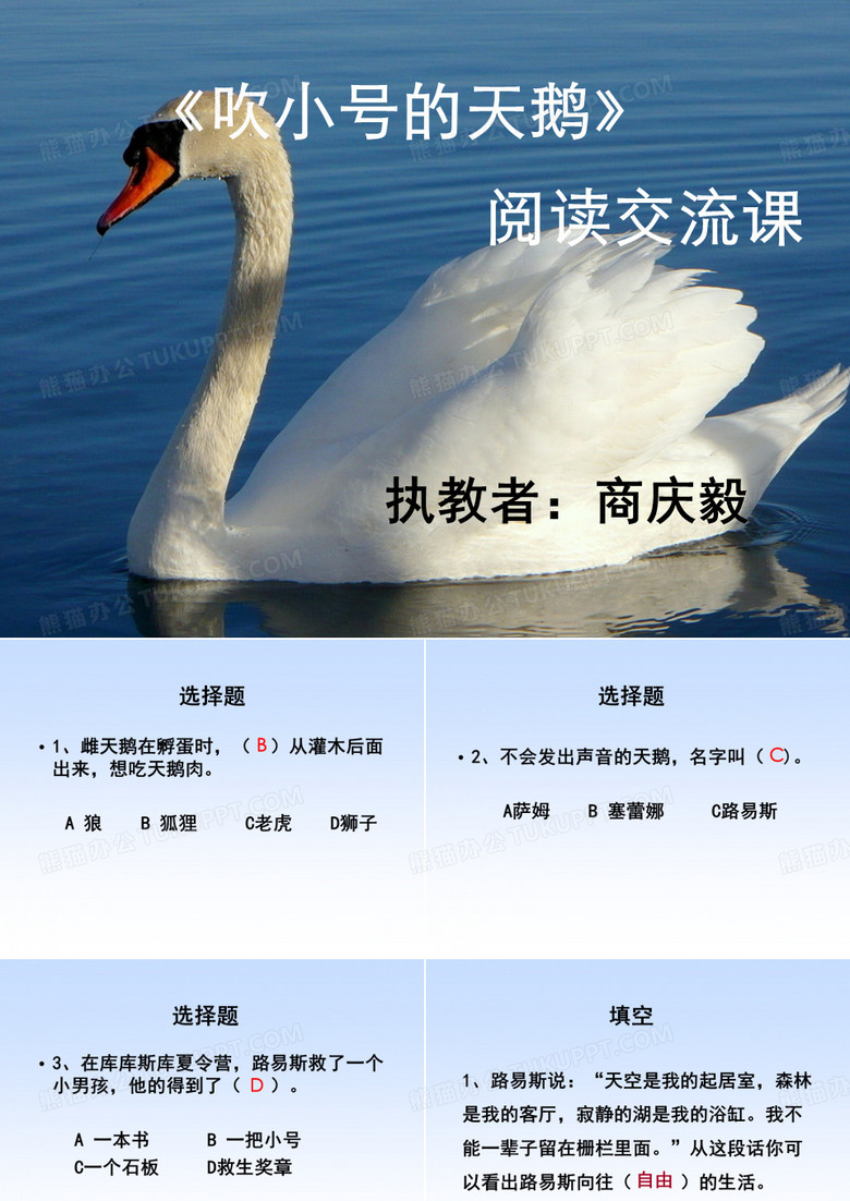 《吹小号的天鹅》课件