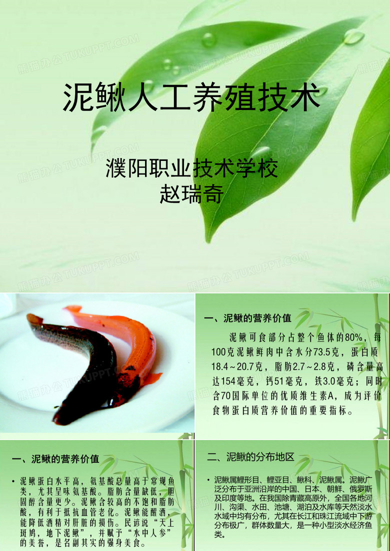 泥鳅人工养殖技术