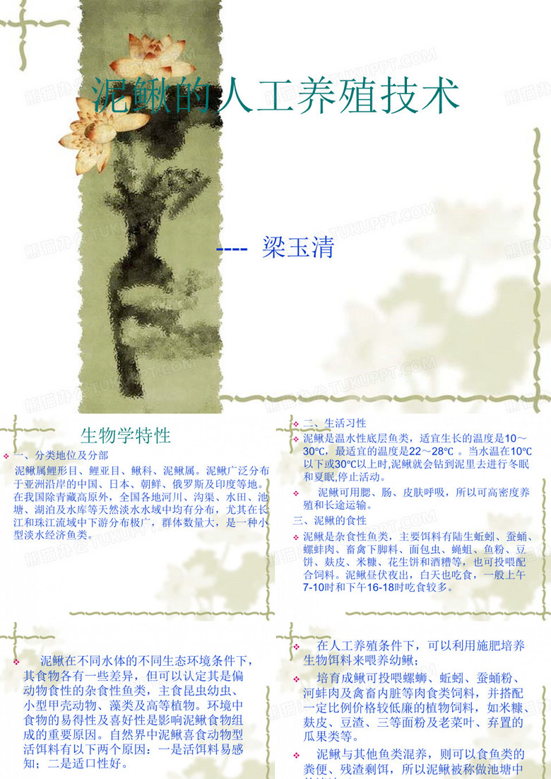 泥鳅养殖技术教程