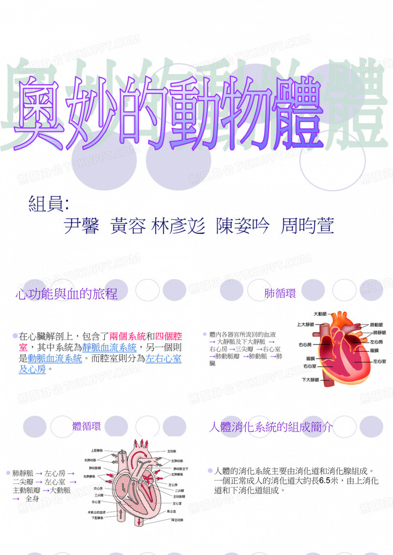 心功能